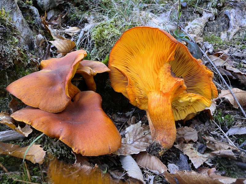 Forse l''ultima bellissima giornata..!!